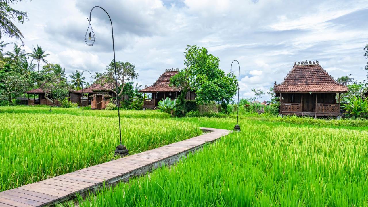 Kajane Yangloni At Ubud Extérieur photo