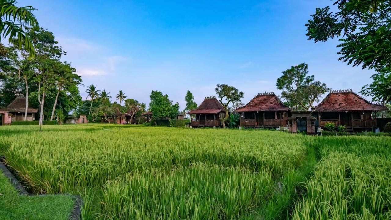 Kajane Yangloni At Ubud Extérieur photo