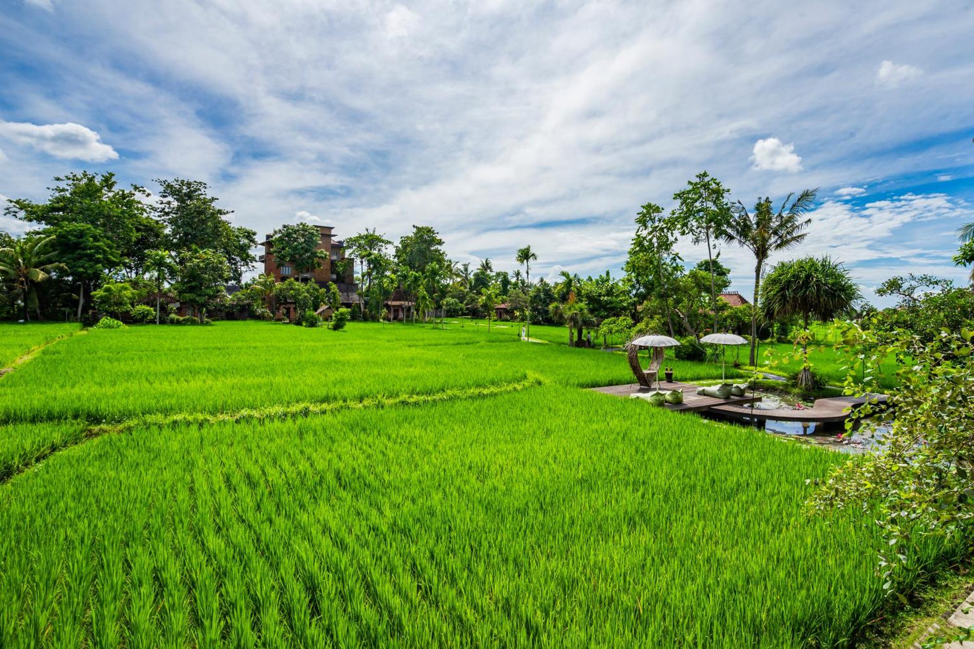 Kajane Yangloni At Ubud Extérieur photo